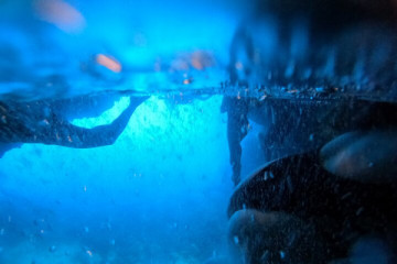 Blue Cave & Elaphiti with Food/Drinks - Cavtat VIATOR - BC