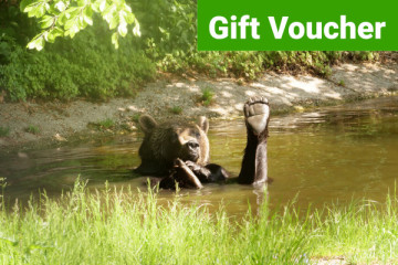 Gift Voucher - Day Pass BEAR SANCTUARY Arbesbach 2026