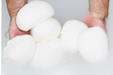 Mozzarella Experience