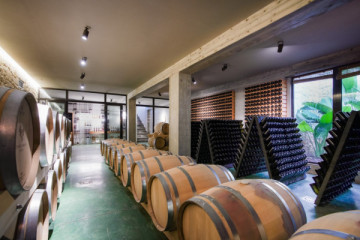Wine Tasting at a Masseria in the Easternmost Vineyard in Italy
