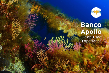Deep Off-Shore Dive Experience