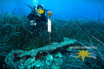 Archaeology Experience Full Program