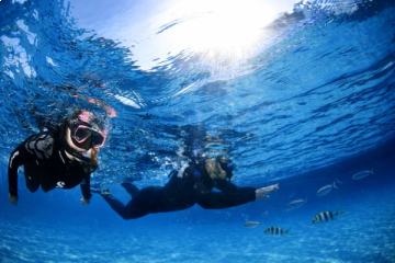 Sea outing and snorkeling