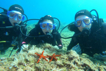 PADI Discover Scuba Diving Dubrovnik