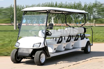 Family Golf Cart Adventure