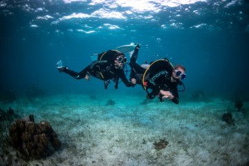 Guided "fun" dive