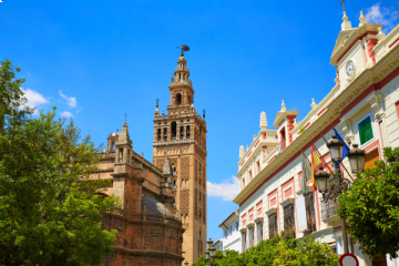 Tour of the Surroundings of the Real Alcázar, Seville Cathedral, and Jewish Quarter