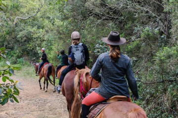 Horseback riding and tastings