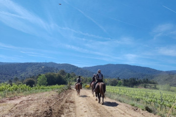 wine tasting on horseback