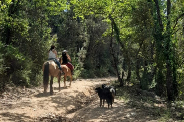 Day hike