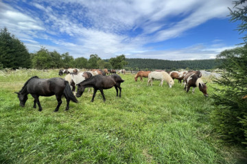 A 2 Full Day Equestrian Escape in the Heart of Nature
