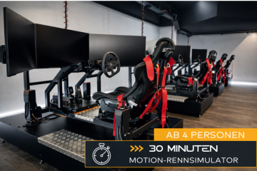 Race in the motion simulator (4+ people)