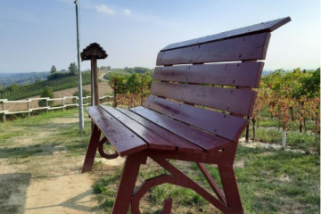 Guided Tour in Monferrato - Grignolino and Ruché
