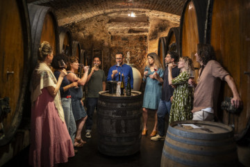 (BALANCE) GRANDS CRUS - Private Day Wine Tours