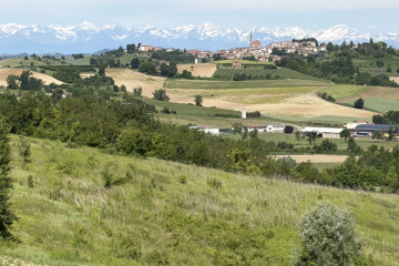 Guided Tour panoramic Monferrato