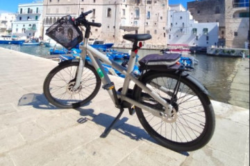 Rent E-bike