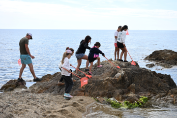 Marine Discovery Sessions