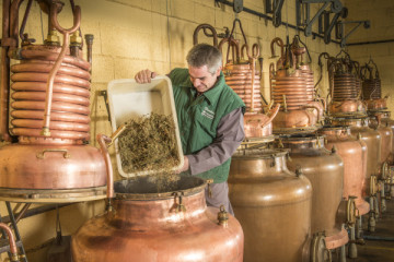 La Distillerie Pagès — Visit.. Discover.. Taste..