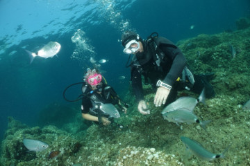 Introductory Scuba Diving