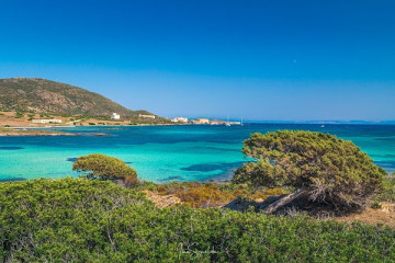N°138 Asinara Park: Guided Tour by Train