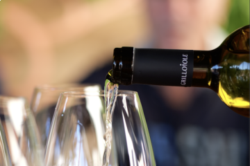 Premium Tasting Experience | Past, present and future