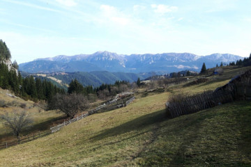 The Green Heart of Transylvania