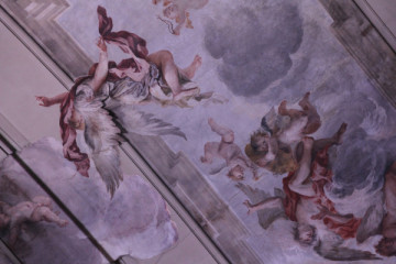 Admission Ticket - Museo de' Medici