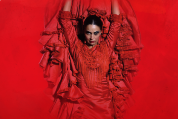 Flamenco Show "Pasión" at Teatro Flamenco Sevilla