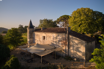 Self-guided vineyard walk at Château Tour Baladoz & wine tasting