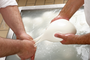 Mozzarella Making Workshop in Salento