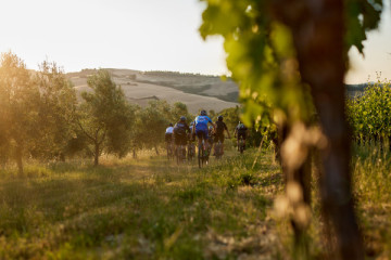 The Grand Tour | To the Origins of Food