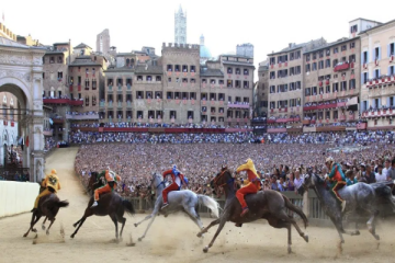 VIP Bespoke Palio Package