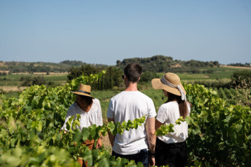 Wine & Walk
