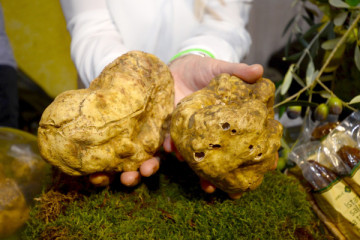 Limited-Edition VIP White Truffle Hunt & Cooking Show