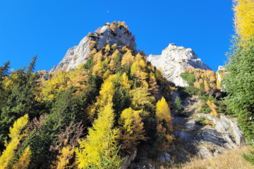 Via Ferrata Vârghiș – “Travelling Falcon”