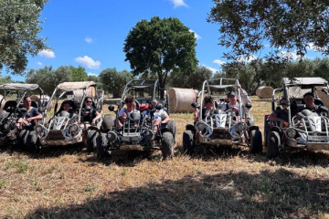 Guided Buggy Tour Through Puglia's Ancient Olive Groves