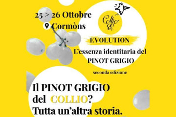 COLLIO EVOLUTION - COLLIO PINOT GRIGIO