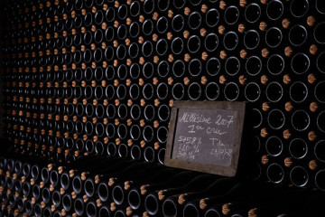 Cellar tour and tastings