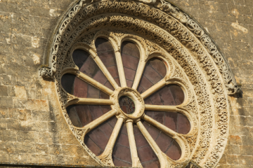 From Lecce: Galatina, Gallipoli, Santa Maria al Bagno & Nardò Day Trip