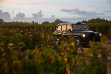 Saint-Emilion: The Grands Crus Classés