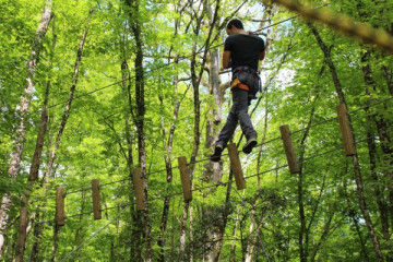 Tree Climbing - from 3 years old