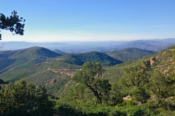 Mount Vinaigre