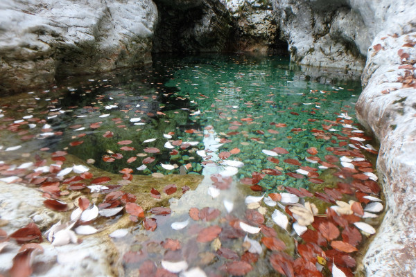 Canyoning with OUTdoor Slovenia