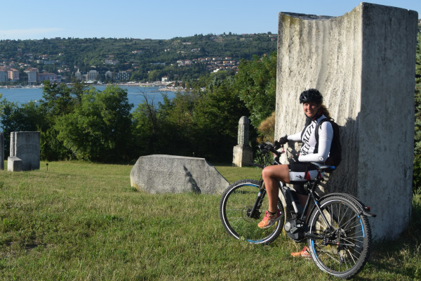 Electric biking slovenia