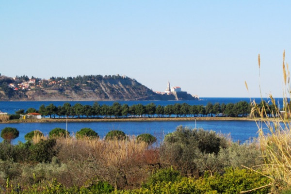 Strunjan electric biking