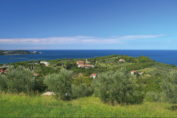 Nature electric biking