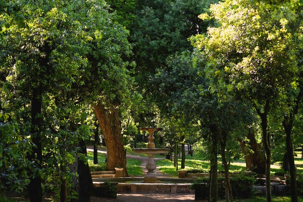 A small roundish square with a beautiful fountain, in the heart of the park, guarantees the perfect place for a great photo setting and a peaceful rest under the trees. 