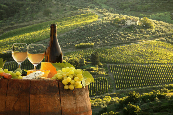 Wines and beautiful landscapes in Tuscany, Italy