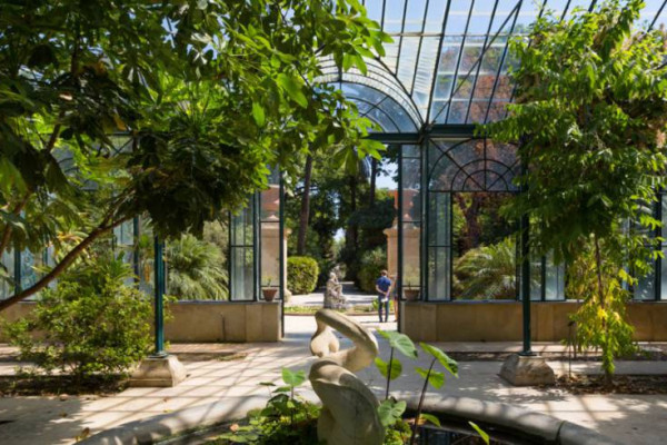 Botanic garden palermo