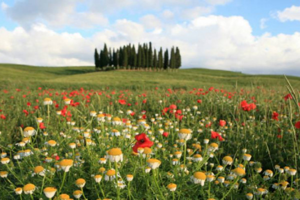 hike tuscan villa 